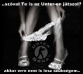 /album/fenykepgaleria/a10253802-797228083641202-503431595581025162-n-jpg/